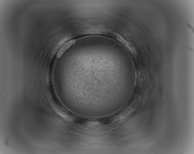X0000097660203200803071540
