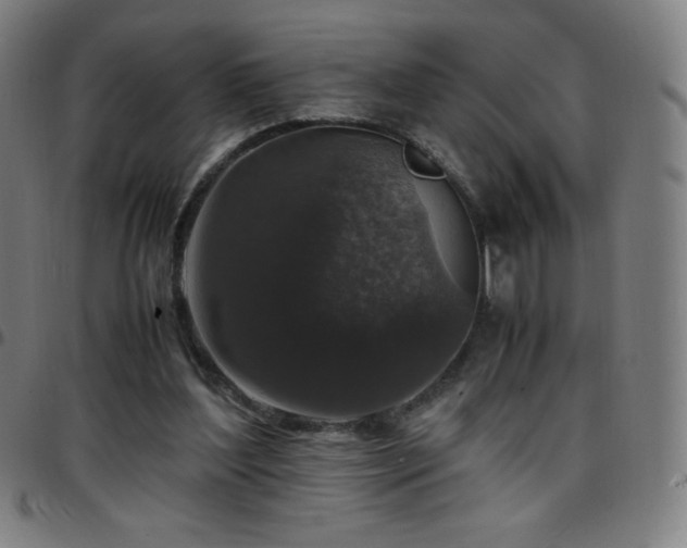 X0000097660204200803071540