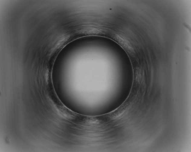 X0000097660206200803071540