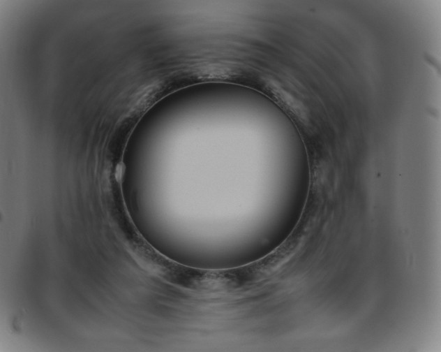 X0000097660209200803071540