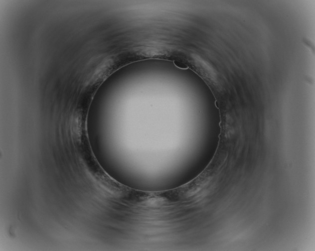 X0000097660210200803071540