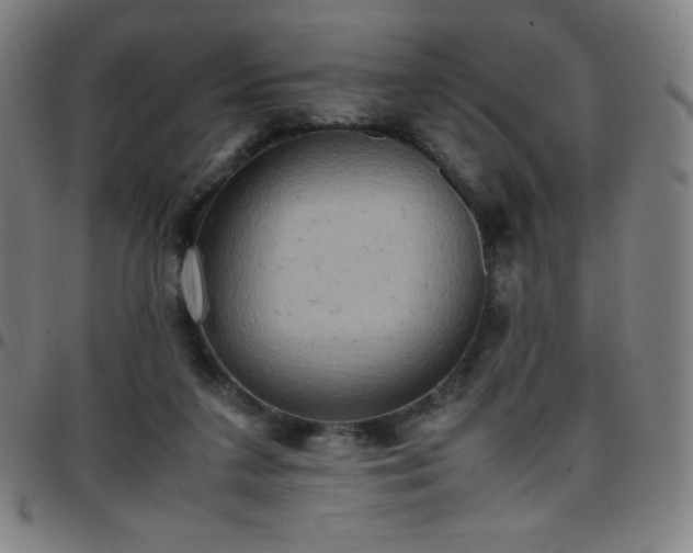 X0000097660211200803071540