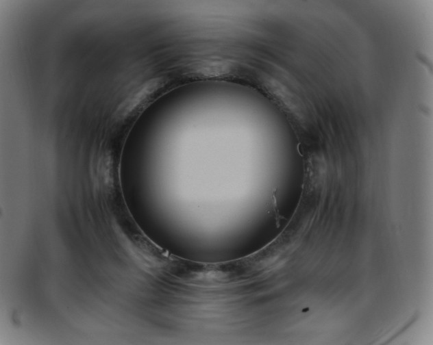 X0000097660212200803071540