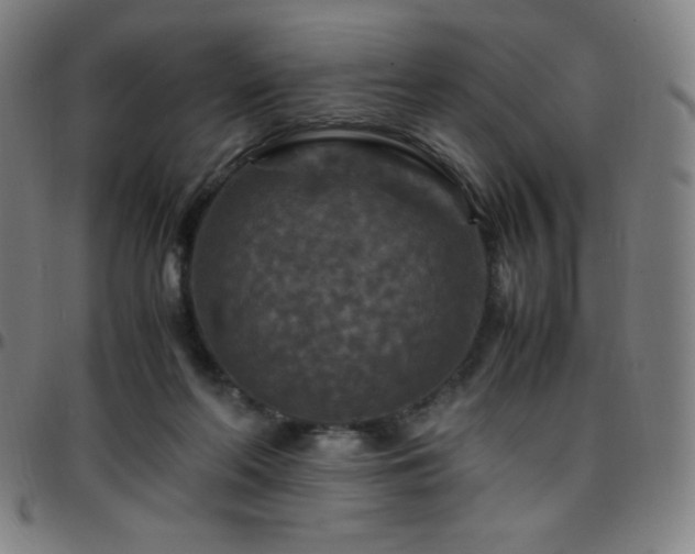 X0000097660214200803071540