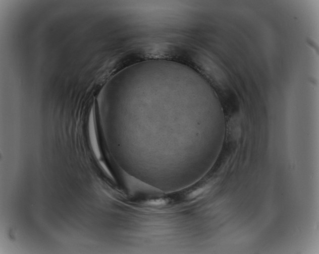 X0000097660217200803071540