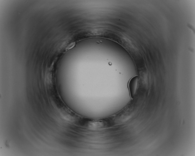 X0000097660220200803071540