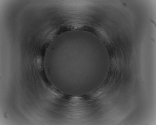 X0000097660222200803071540