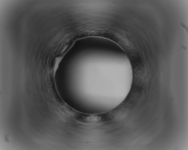 X0000097660225200803071540