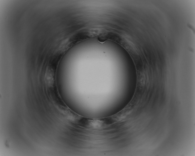 X0000097660226200803071540