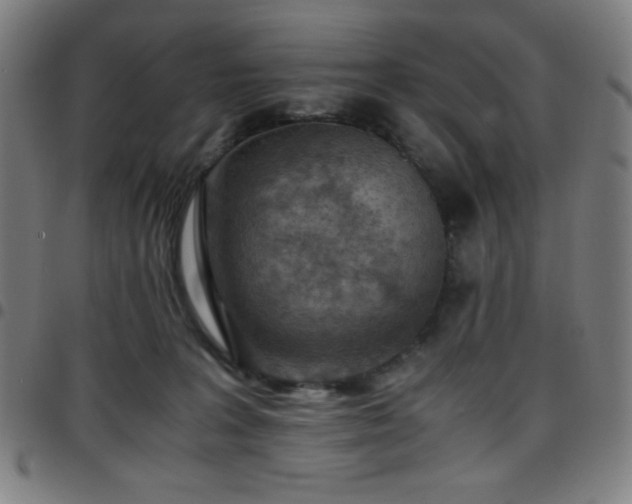 X0000097660227200803071540