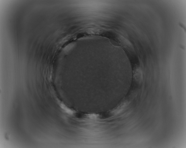 X0000097660233200803071540