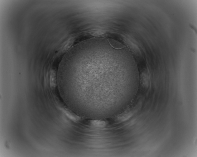X0000097660234200803071540