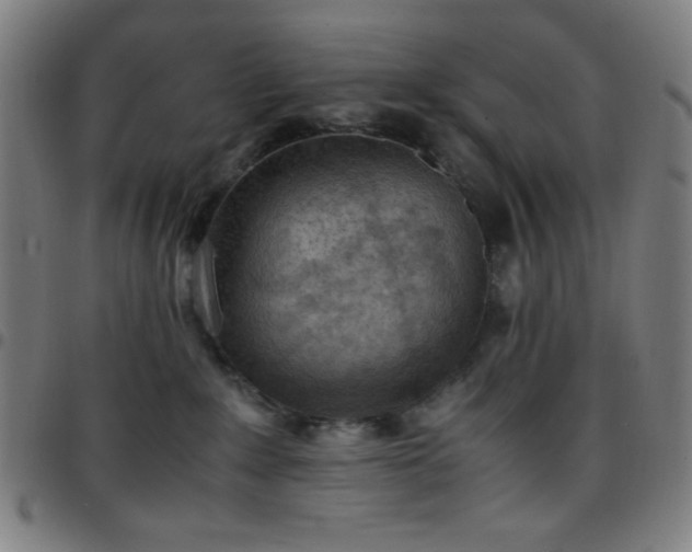 X0000097660235200803071540