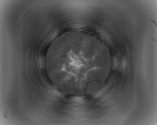 X0000097660236200803071539