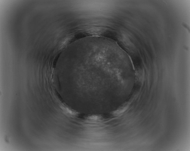 X0000097660237200803071539