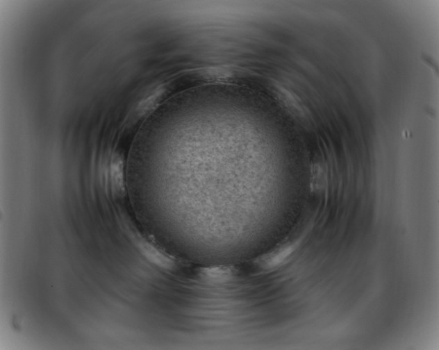 X0000097660238200803071539