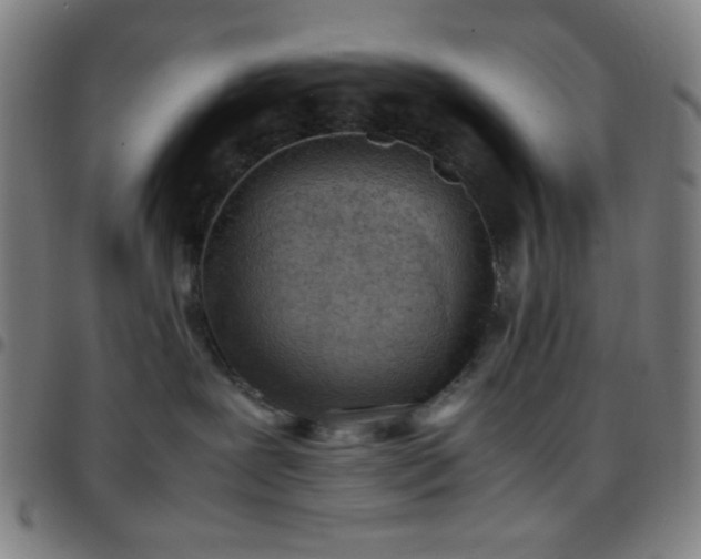 X0000097660239200803071539