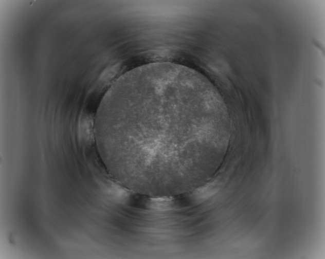 X0000097660240200803071539