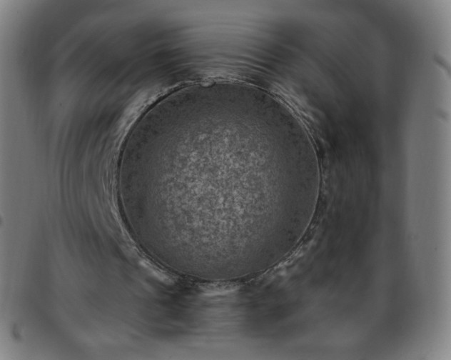 X0000097660241200803071539