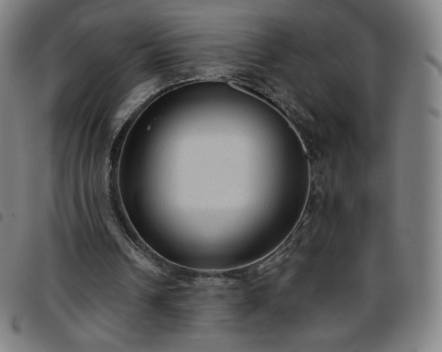 X0000097660242200803071539