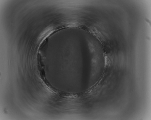 X0000097660243200803071539