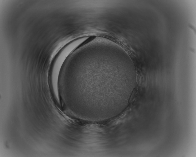 X0000097660244200803071539