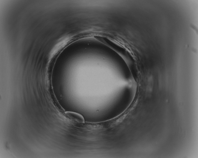X0000097660245200803071539