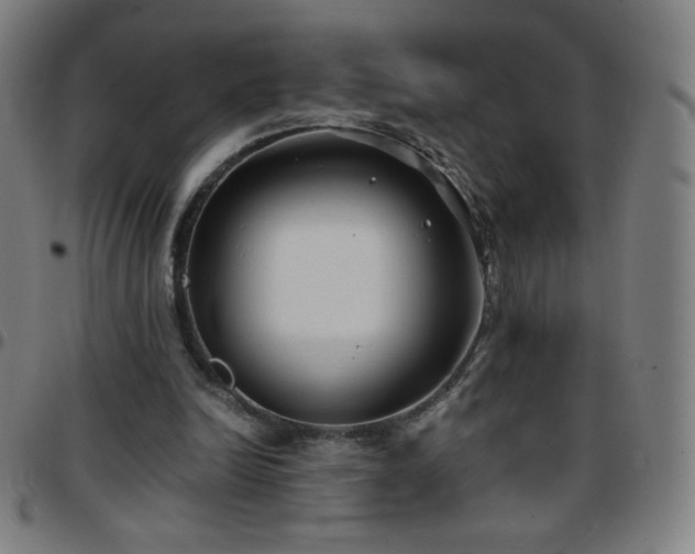 X0000097660246200803071539