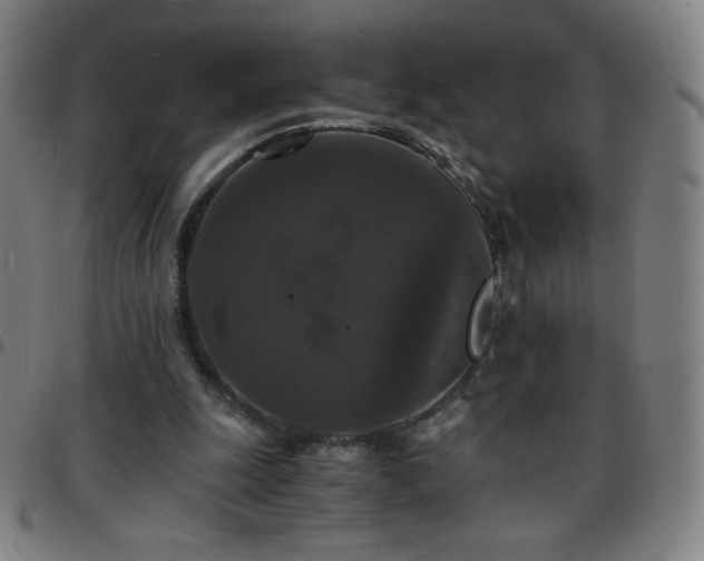 X0000097660247200803071539
