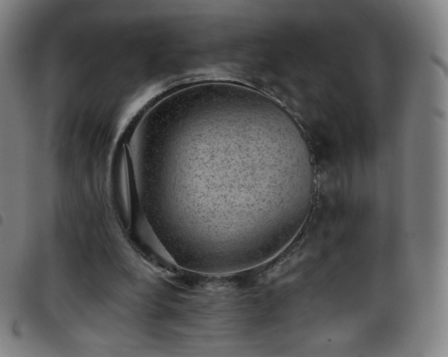 X0000097660248200803071539
