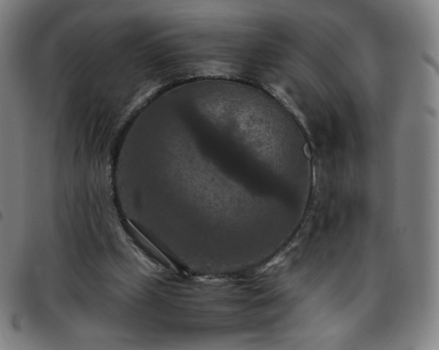 X0000097660249200803071539