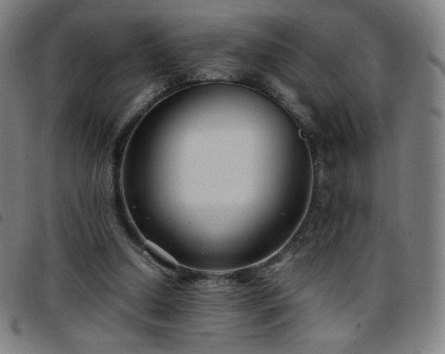 X0000097660250200803071539