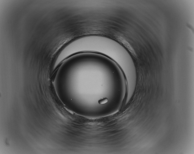 X0000097660251200803071539