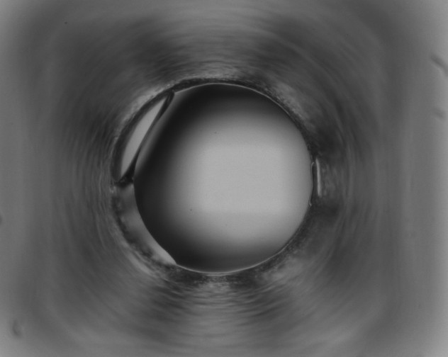 X0000097660252200803071539