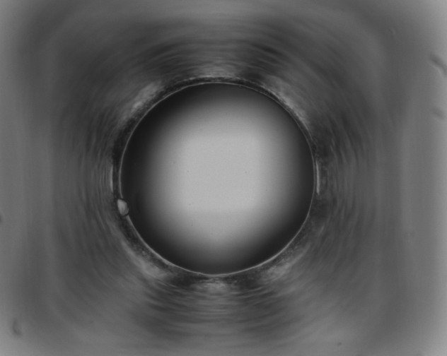 X0000097660253200803071539