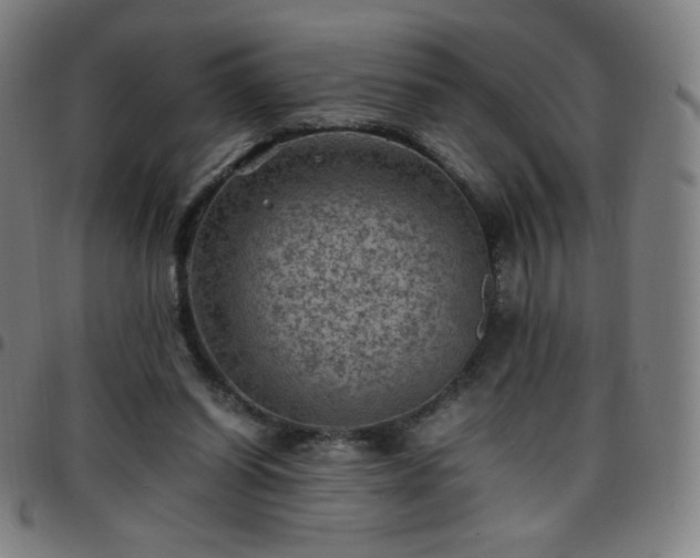 X0000097660254200803071539