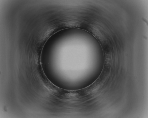 X0000097660255200803071539