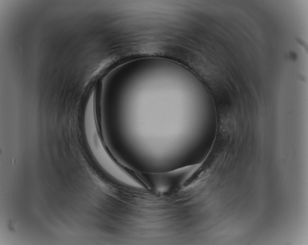 X0000097660256200803071539