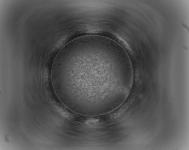 X0000097660257200803071539
