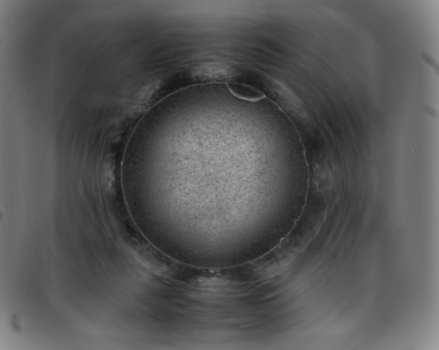 X0000097660259200803071539