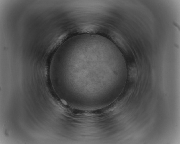 X0000097660260200803071539