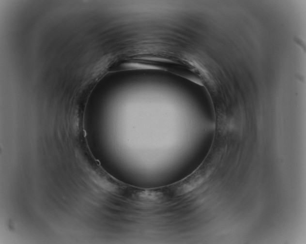 X0000097660261200803071539