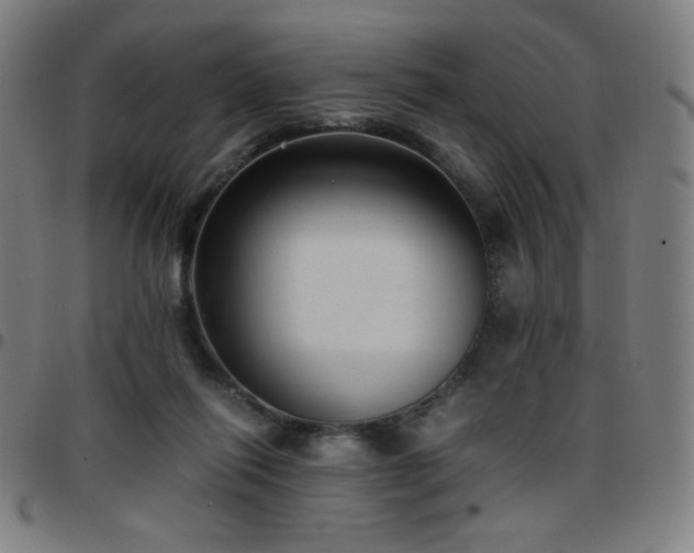 X0000097660262200803071539
