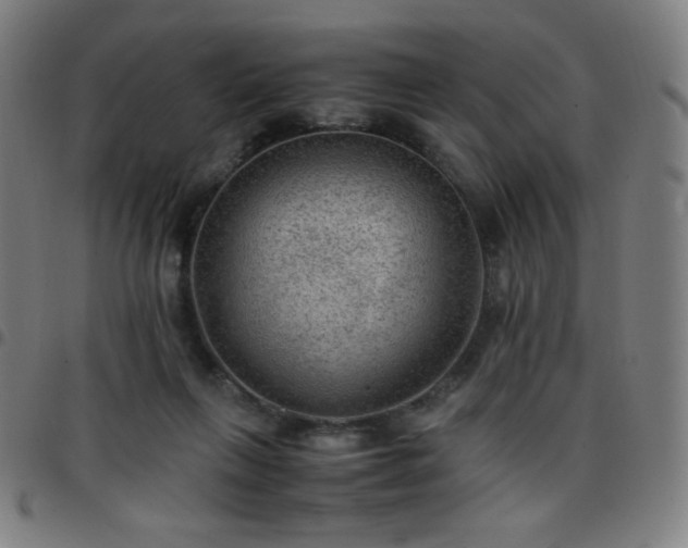 X0000097660263200803071539