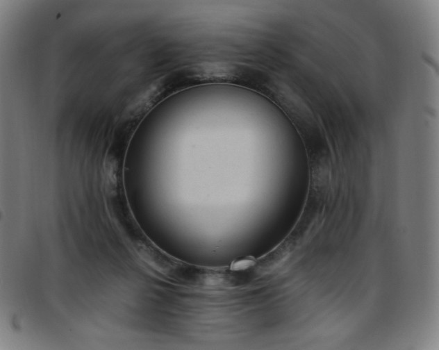 X0000097660264200803071539