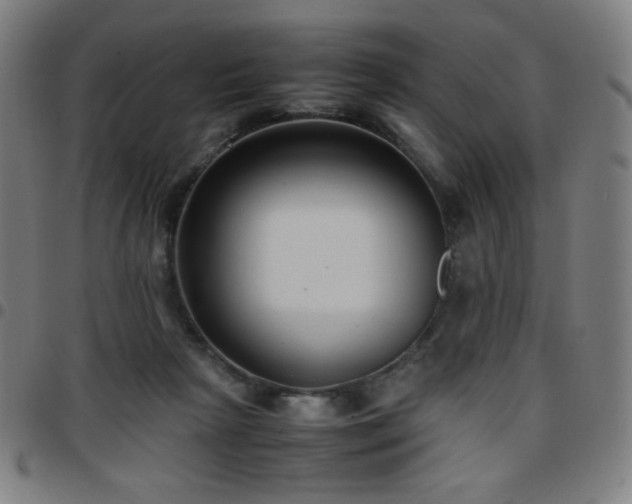 X0000097660265200803071539