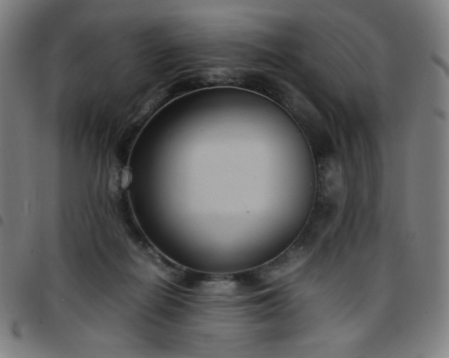 X0000097660266200803071539