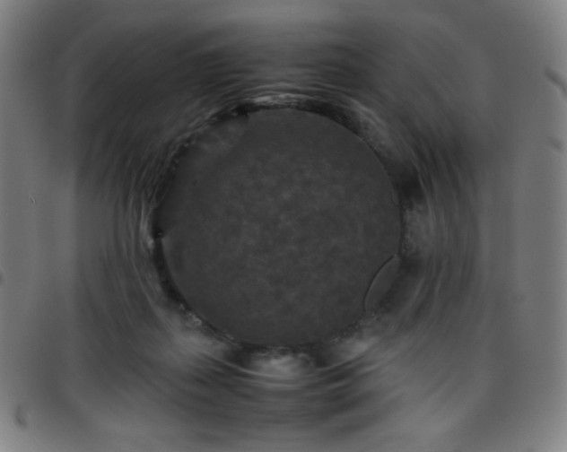 X0000097660267200803071539