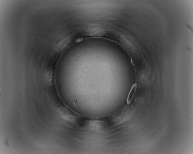 X0000097660268200803071539