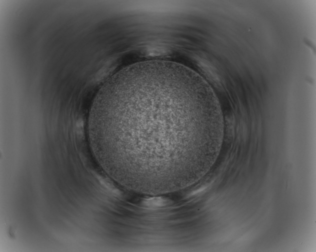 X0000097660269200803071539